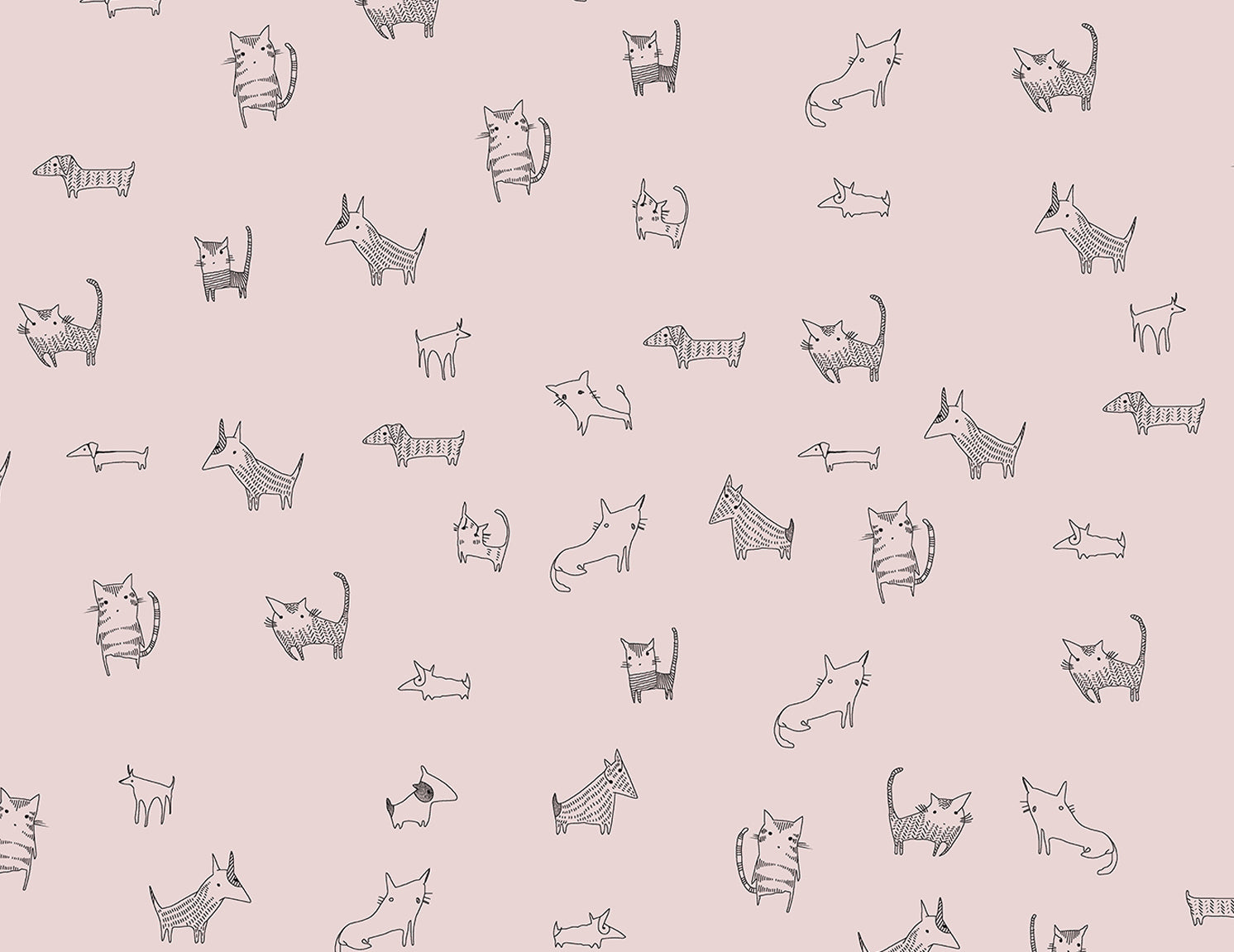 CATS & DOGS PINK WALLPAPER Illustration by Deniz Yeğin İkiışık