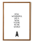 How Wonderful Life Is POSTER